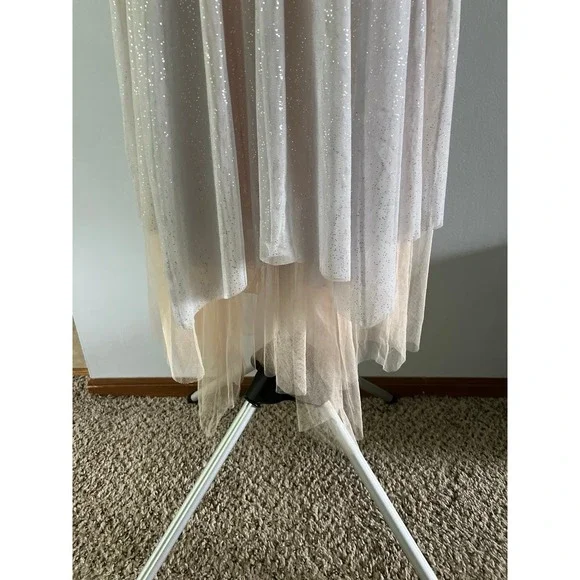 NWT Lauren Conrad Runway Midi Tulle Illusion Dress in Silver and Cream‎ Size 6 - Picture 4 of 12